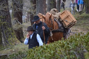 Gefuerte Trekking-Touren mit Tieren