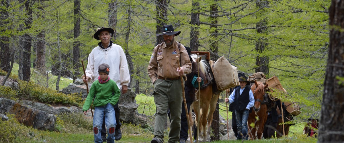 Säumer Trekking am Simplon
