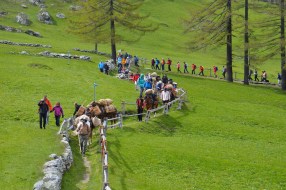 Simlpon-Saeumer Trekking