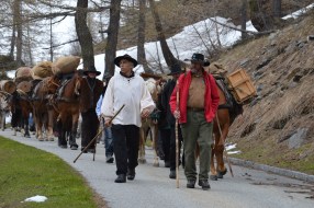 Simplon Region Säumer Trekking