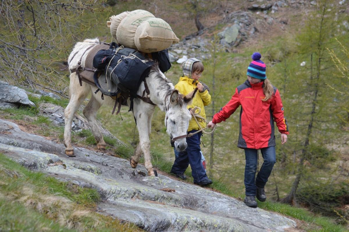 Trekking mit Tieren