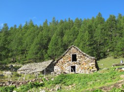 Wandern am Simplon-AlpeWaira