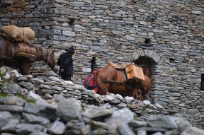 Wandern mit Säumern und Wanderleiter
