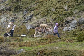 Wanderungen mit Kindern