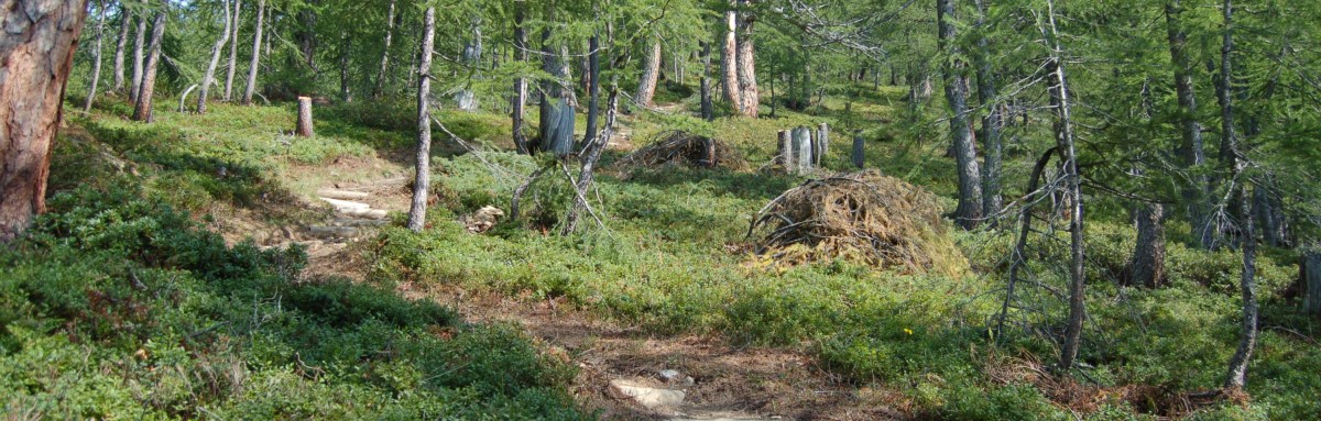 Wander- und Schmugglertour Monscerapass